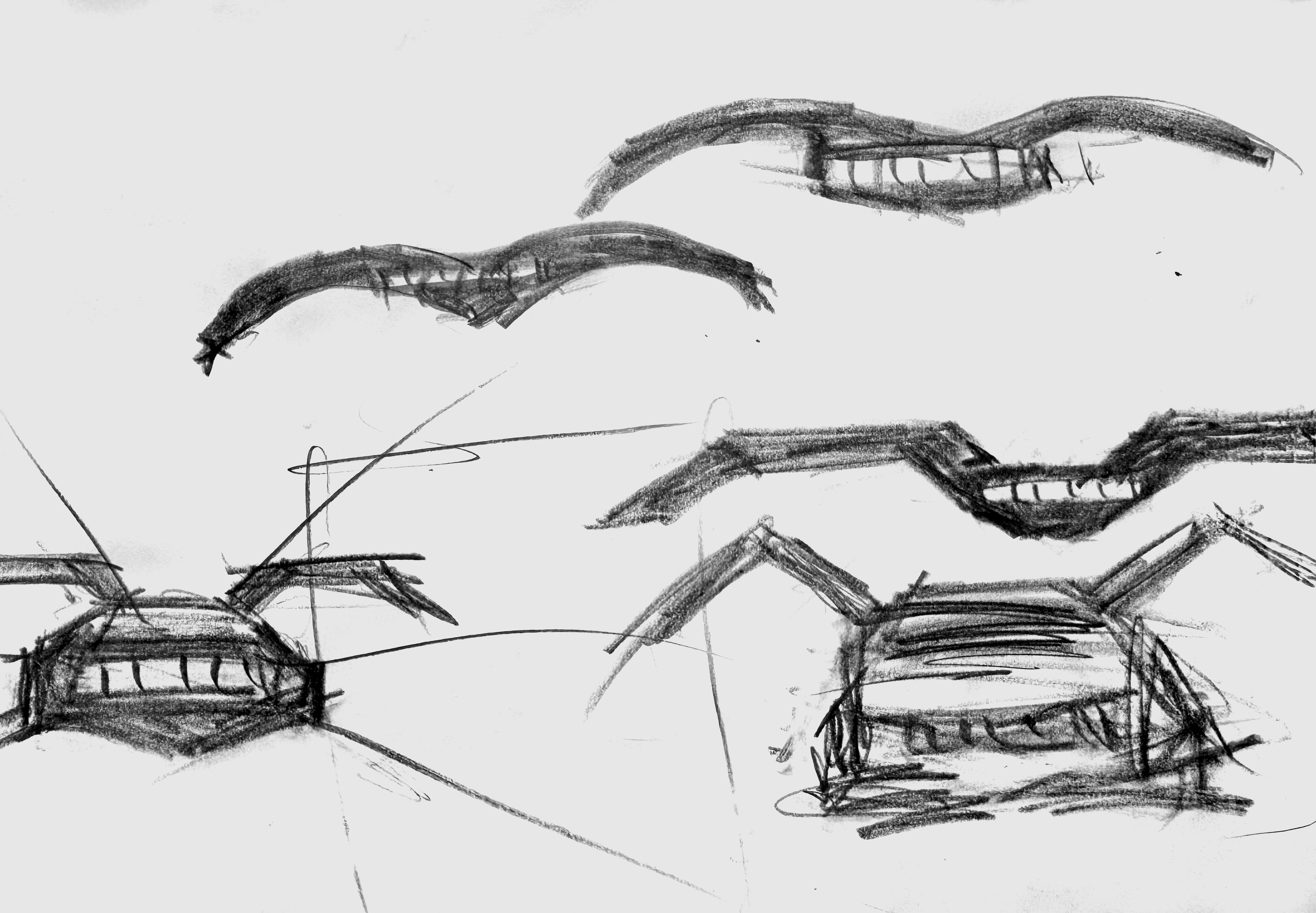 Scissor door sketches