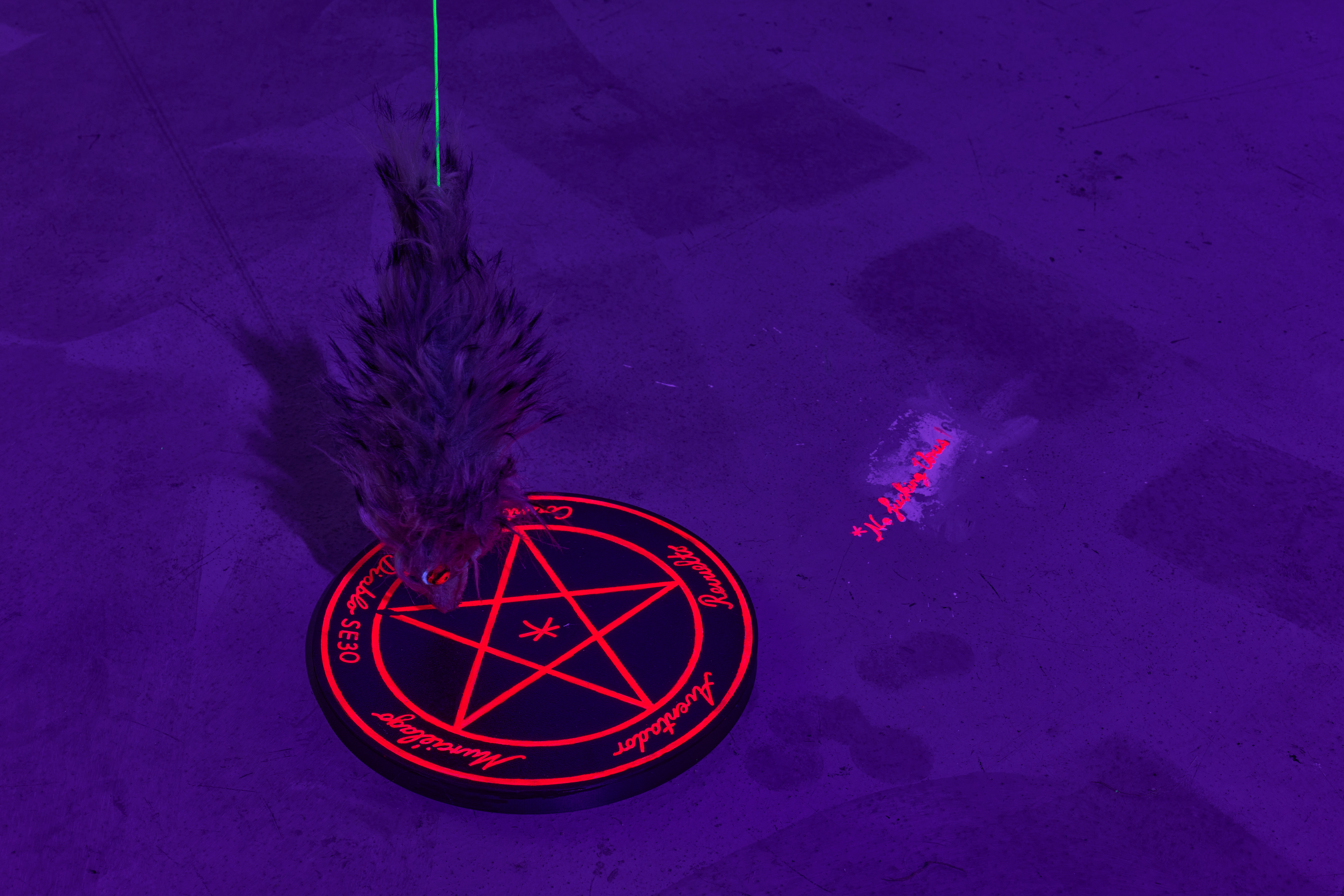 Ectoskeleton and Exoplasm